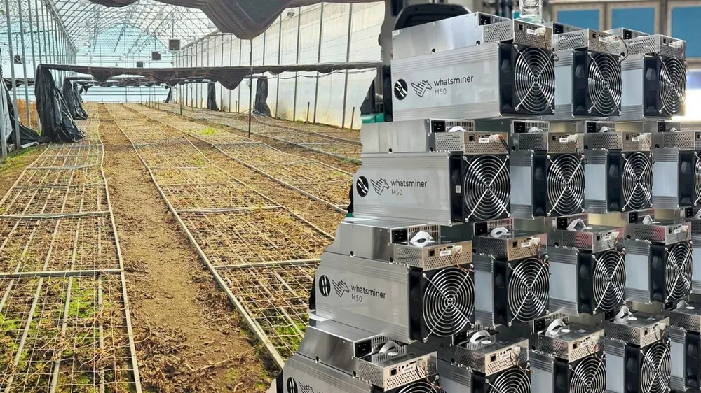 l-agriculture-rencontre-bitcoin-electricity-mining-par-infinity-hash