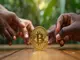 bitcoin-xaf-une-revolution-pour-les-pays-d-afrique-centrale