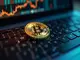 decouvrez-lhistoire-fascinante-de-bitcoin-legend