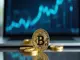 ripple-une-predilection-pour-tina-exploration-des-mythes-et-des-faits
